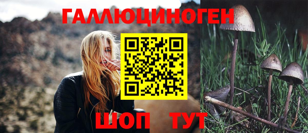 что такое наркотик  Вход с VPN  Луга  Псилоцибиновые грибы Psilocybine cubensis 